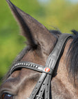 Detailfoto Trense Kieffer Ultrasoft® Celia in Schwarz mit Chrombeschlägen am Pferd: Genickstück und Stirnband mit weißen Kristallen