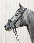 Trense Kieffer Ultrasoft® Unah in Schwarz mit Chrombeschlägen am Pferd