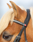 Detailfoto Trense Kieffer Ultrasoft® Haflinger in Schwarz mit Chrombeschlägen am Pferd: Genickstück und Stirnband mit weißen Kristallen