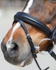 Detailfoto rundgenähte Trense Sylvie II in Schwarz mit Chrombeschlägen am Pferd: konisch geformtes Reithalfter aus Glattleder
