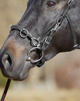 Detailfoto Kappzaum Kieffer Ultrasoft® am Pferd
