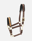 Nylon-Stallhalfter Collection in Dunkelbraun mit messingfarbenen Beschlägen