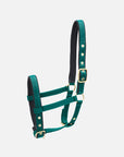 Nylon-Stallhalfter Collection extra für Fohlen in Frün mit messingfarbenen Beschlägen
