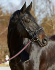 Kappzaum Kieffer Ultrasoft® am Pferd