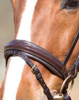 Englisch kombiniertes Lack-Reithalfter Comfort Paris II in Braun mit Messingbeschlägen