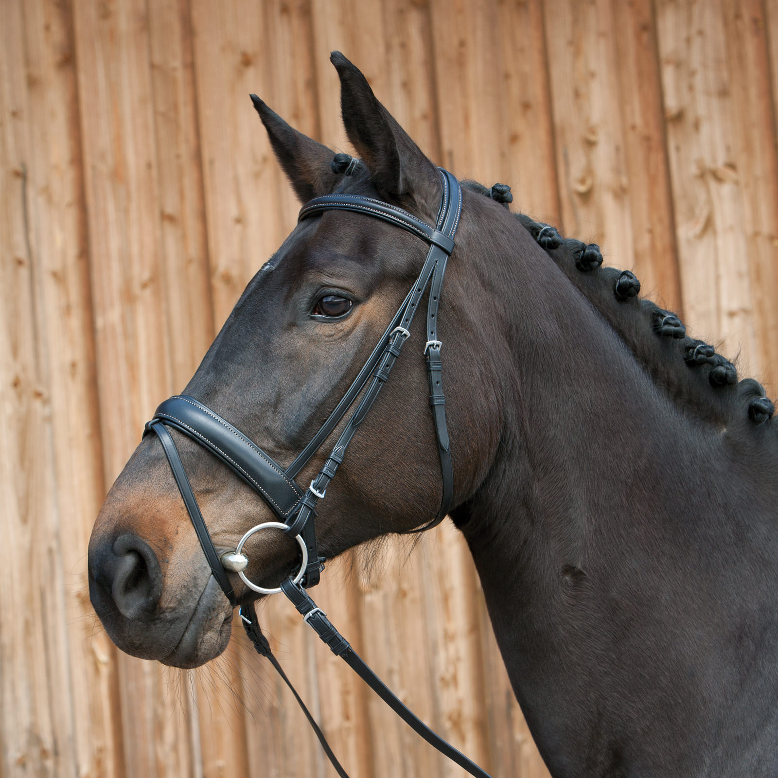 Snaffle Bridles > Snaffle Bridle Ergonomic Line III Kieffer EN