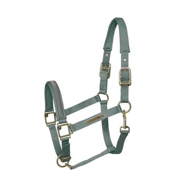Satin Shine Headcollar in mint