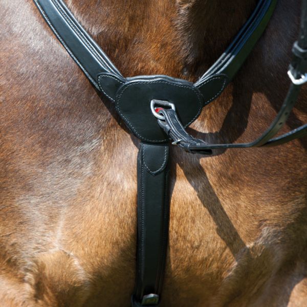 Martingal Horse & Passion by Kieffer Leder schwarz Warmblut 