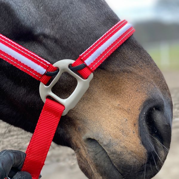 Detail of the Dreamlight Luminous LED Headcollar in red