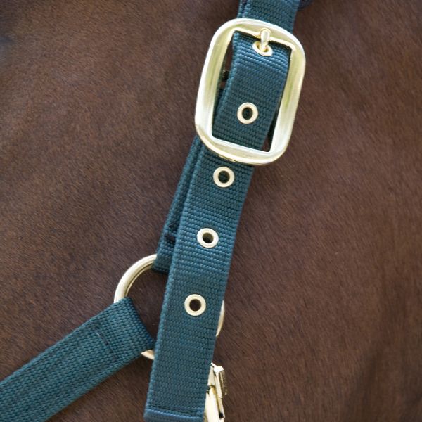 Stallhalfter Collection im Detail
