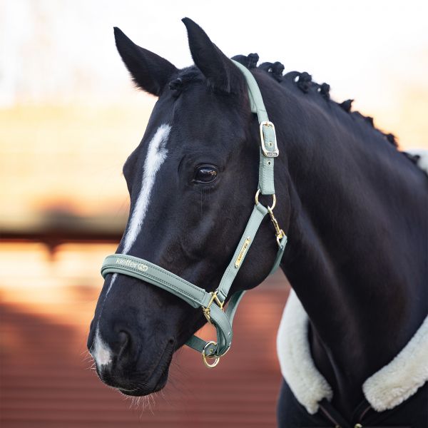 Satin Shine Headcollar in mint