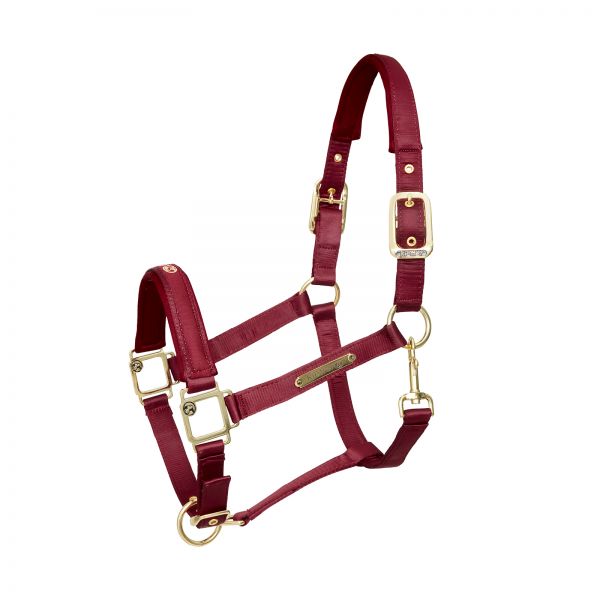 Satin Shine Headcollar in burgundy