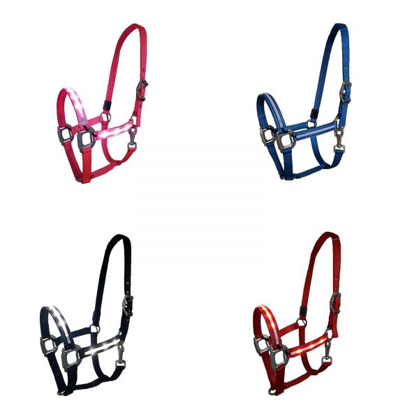 Dreamlight Luminous LED Headcollar in pink, blue, black and red