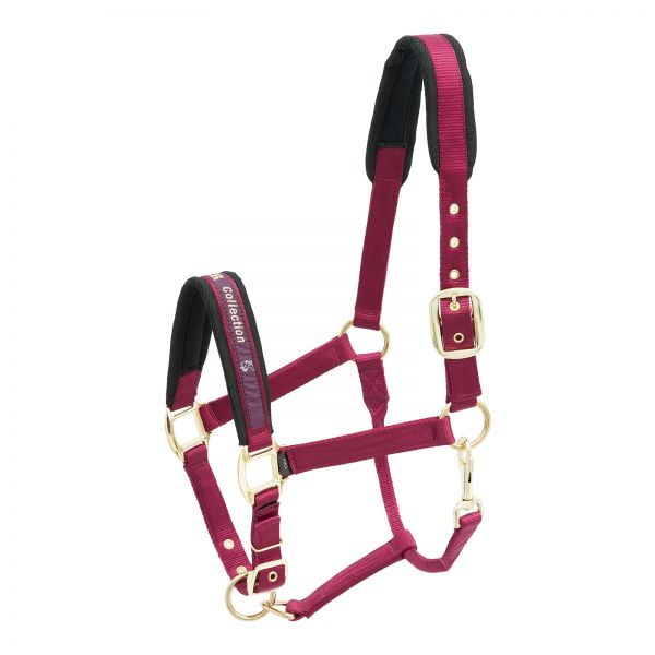 Stallhalfter Collection, burgund