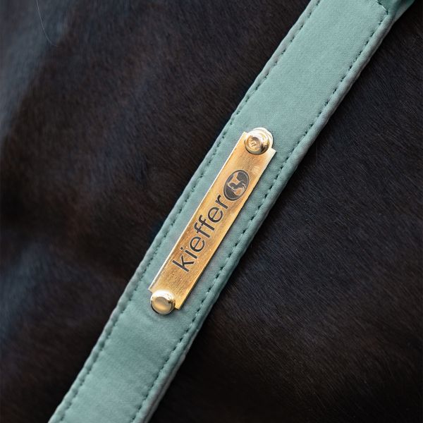 Details of Satin Shine Headcollar in mint