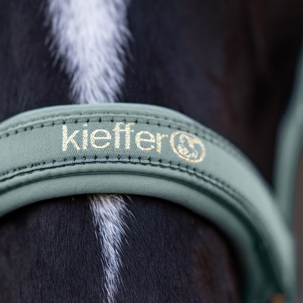Details of Satin Shine Headcollar in mint
