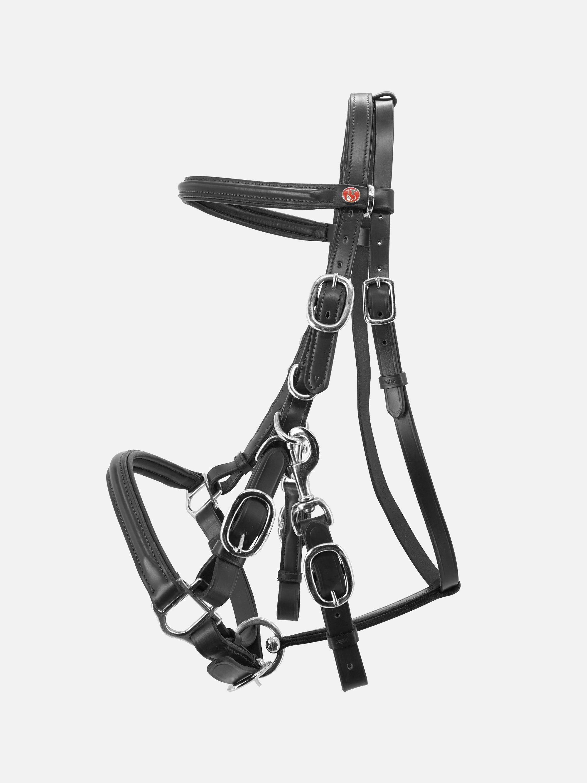 Wanderzaum Kieffer's Trail mit abnehmbarem Backenstück in Schwarz mit Chrombeschlägen