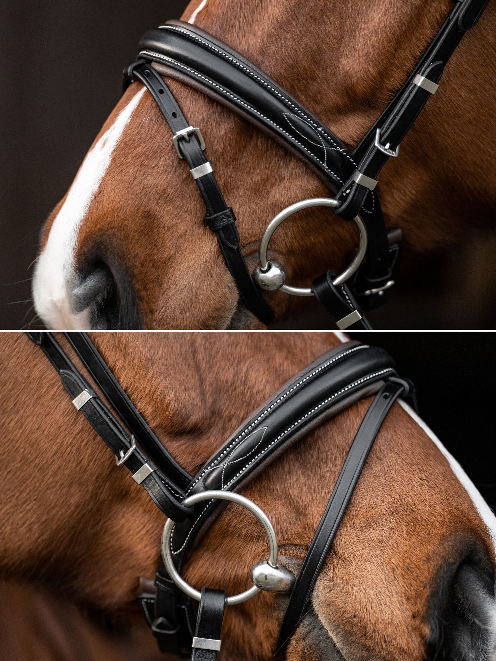 Detailfotos vom Reithalfter der Trense Vera