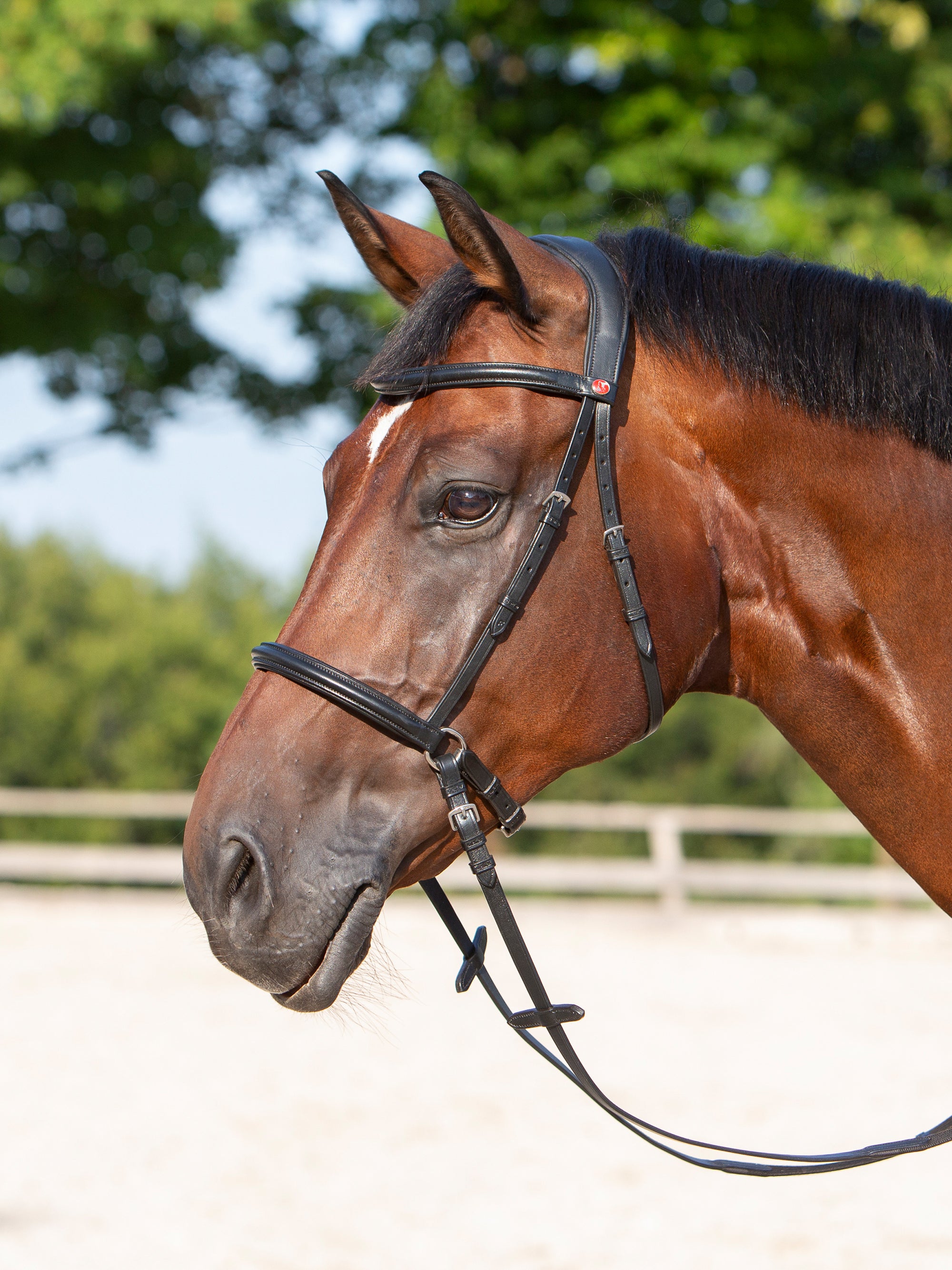 Gebissloser Zaum Kieffer Ultrasoft® Kendra am Pferd