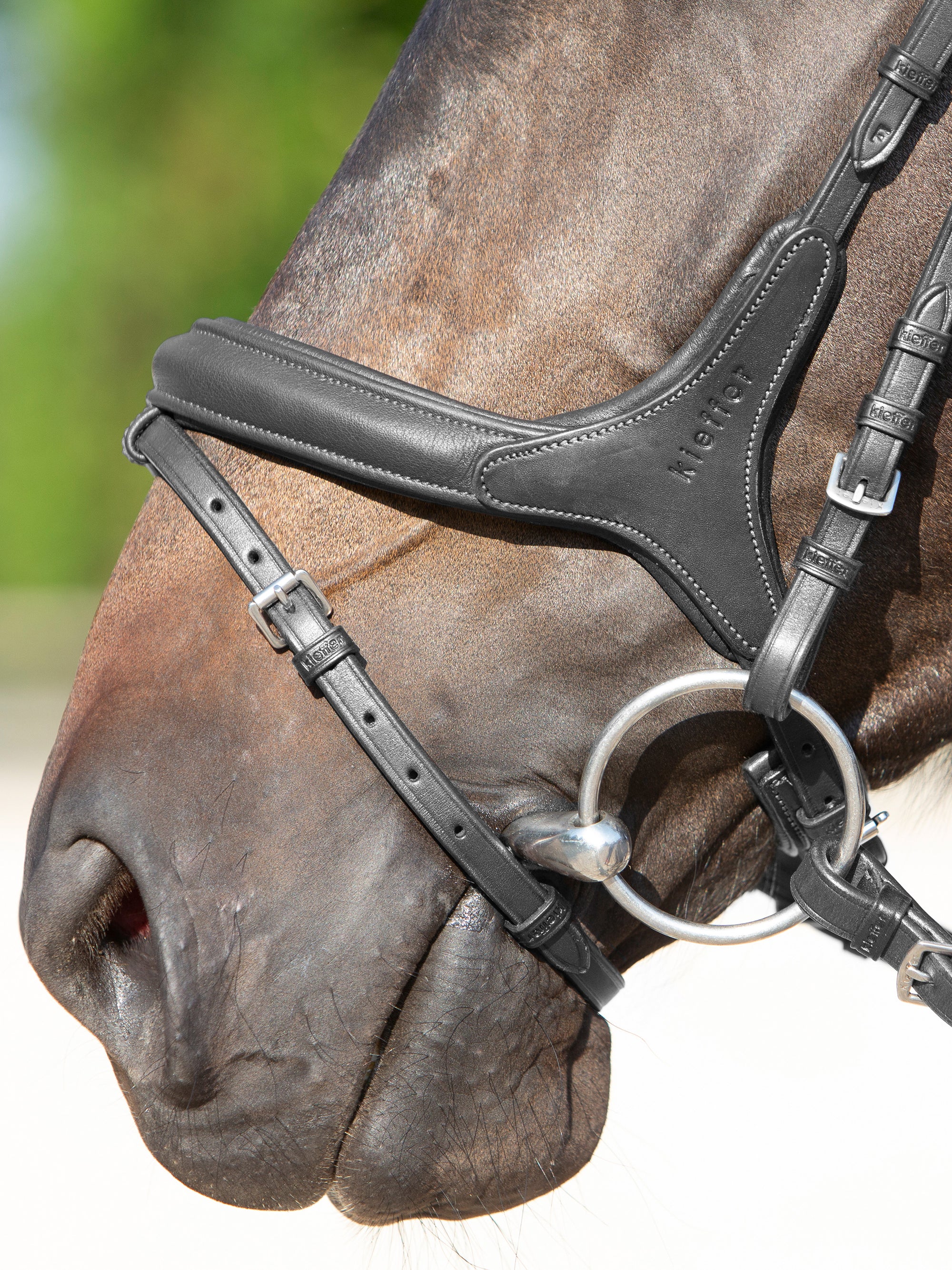 Detailfoto Trense Kieffer Ultrasoft® Celia in Schwarz mit Chrombeschlägen am Pferd: anatomisch geformtes Reithalfter mit dreieckigem Polster