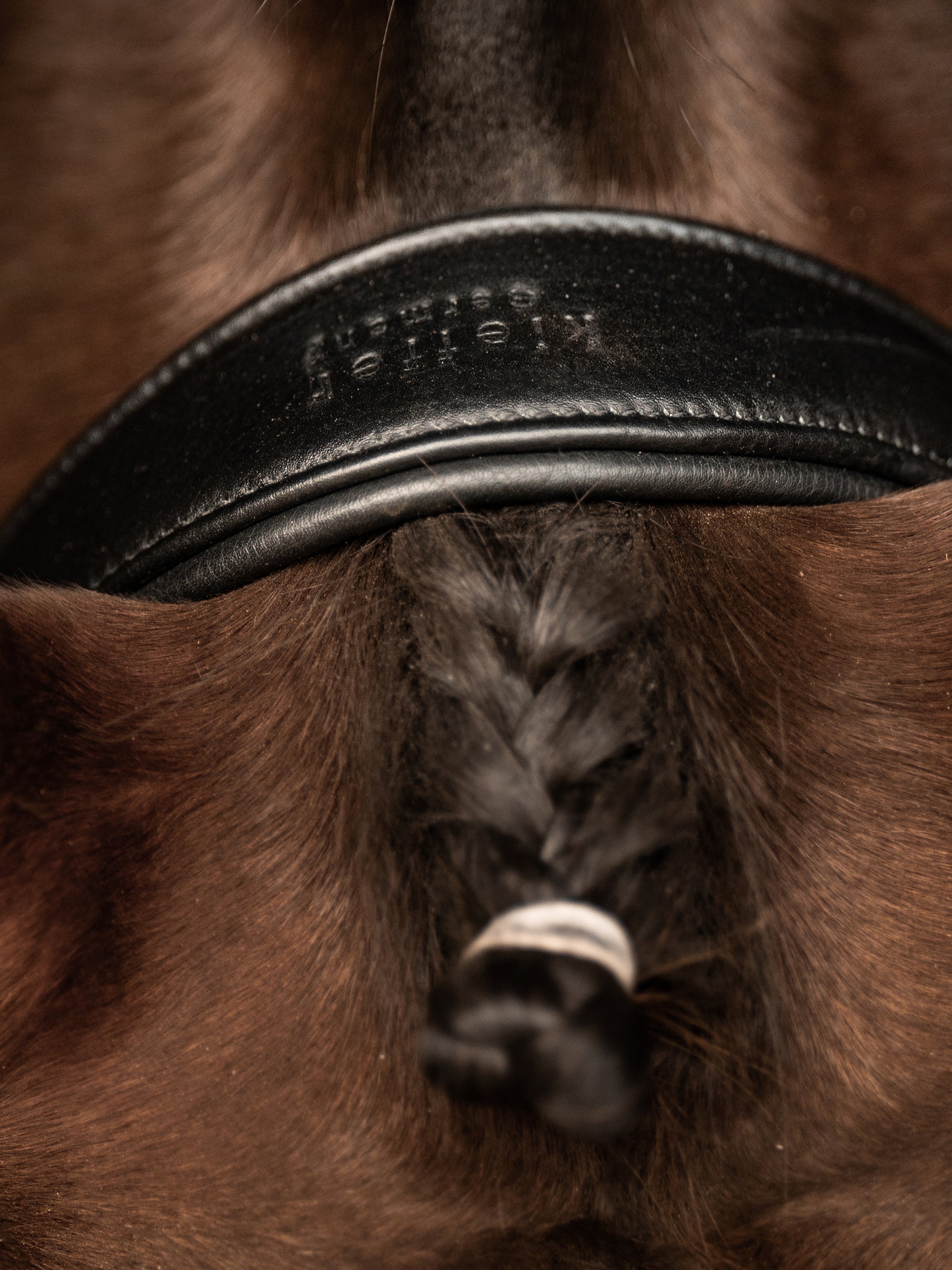 Detailfoto Trense Kieffer Ultrasoft® Sue: weich gepolstertes Genickstück