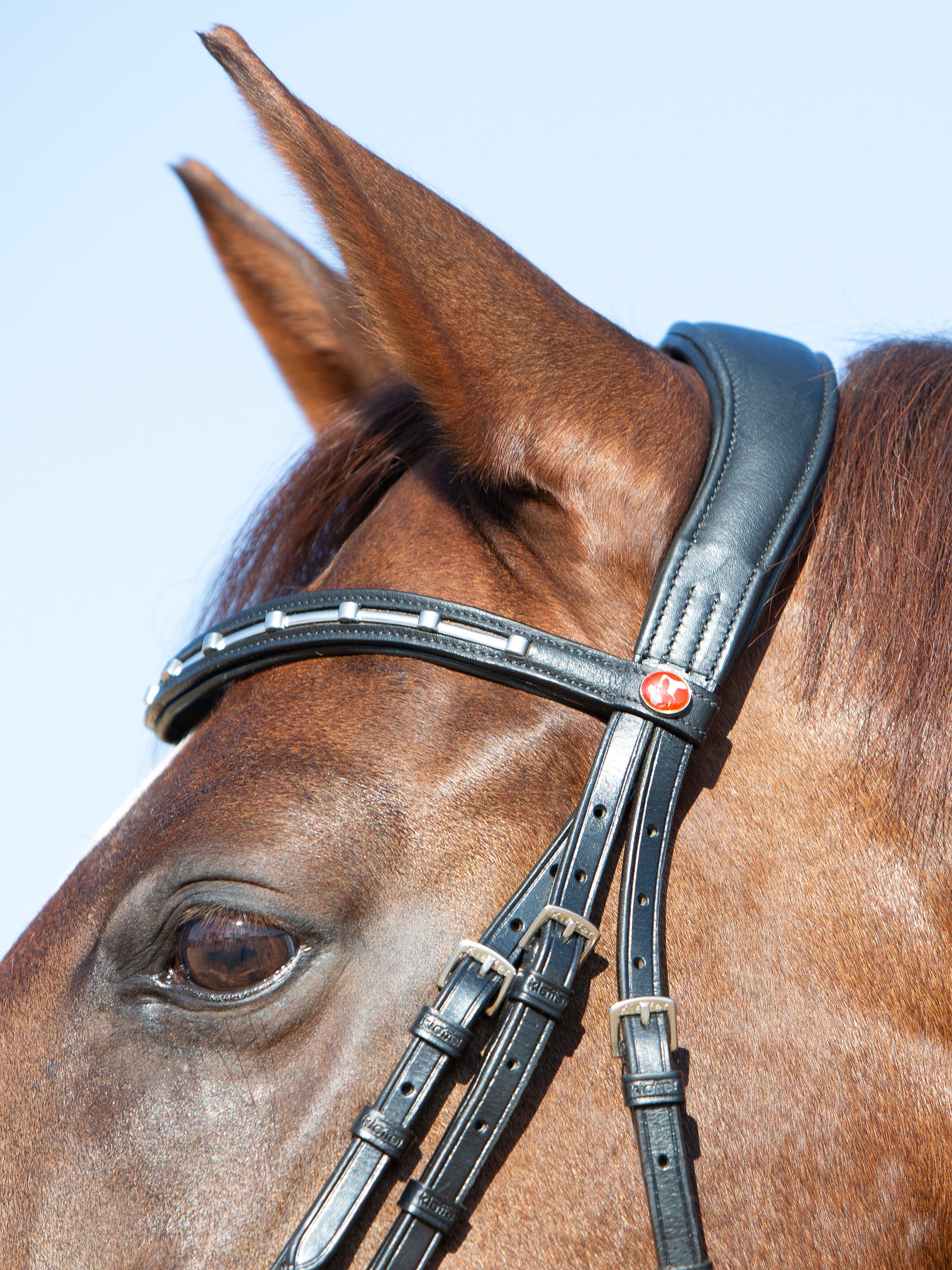 Detailfoto Trense Kieffer Ultrasoft® Economy II: anatomisch geformtes Genickstück am Pferd