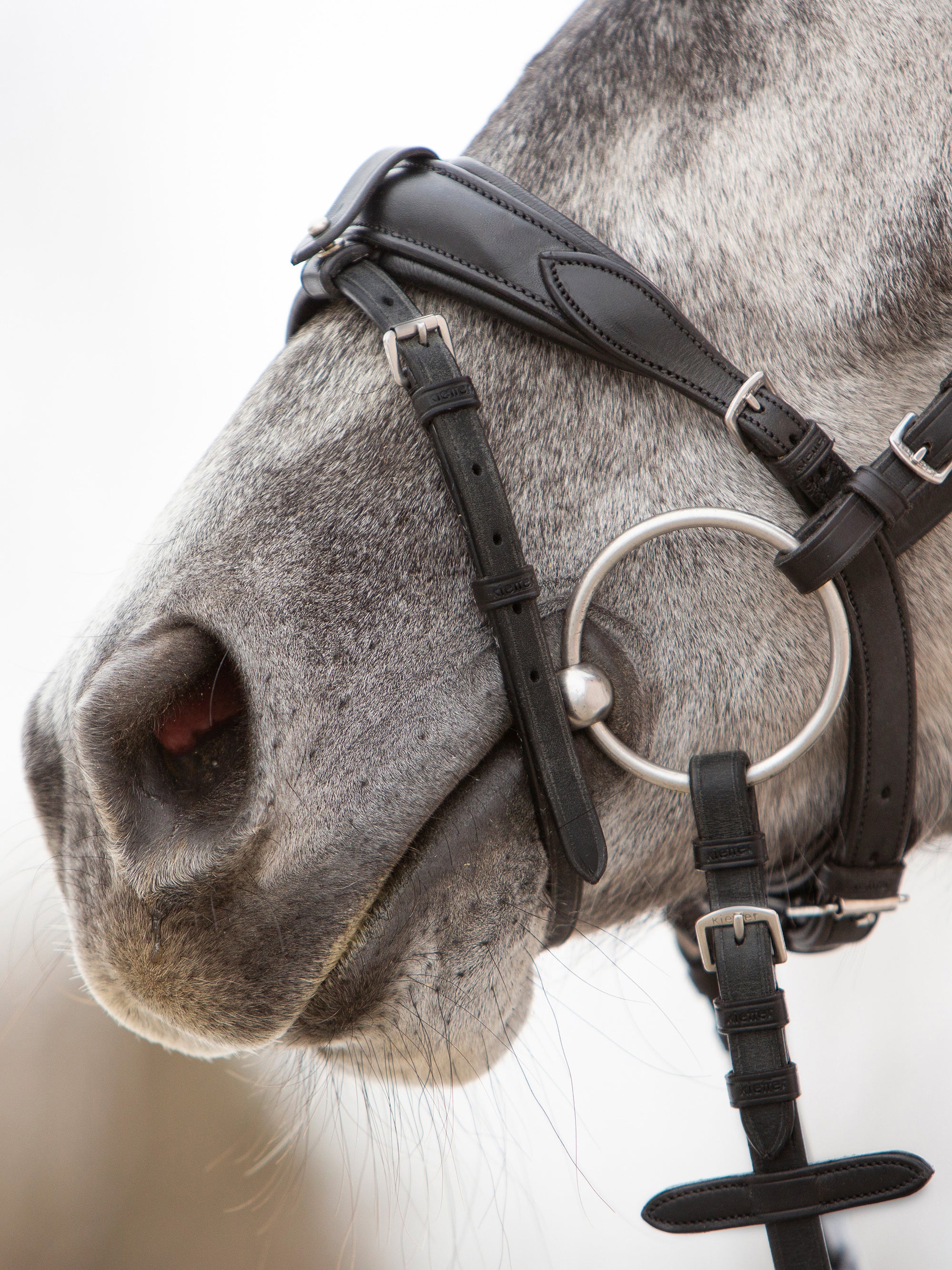 Detailfoto Kieffer Ultrasoft® Unah in Schwarz mit Chrombeschlägen: Reithalfter mit spurlos abnehmbarer Sperrriemen