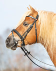 Trense Kieffer Ultrasoft® Haflinger in Schwarz mit Chrombeschlägen und Kristall-Stirnband am Pferd