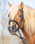 Trense Kieffer Ultrasoft® Haflinger in Schwarz mit Chrombeschlägen und Kristall-Stirnband am Pferd