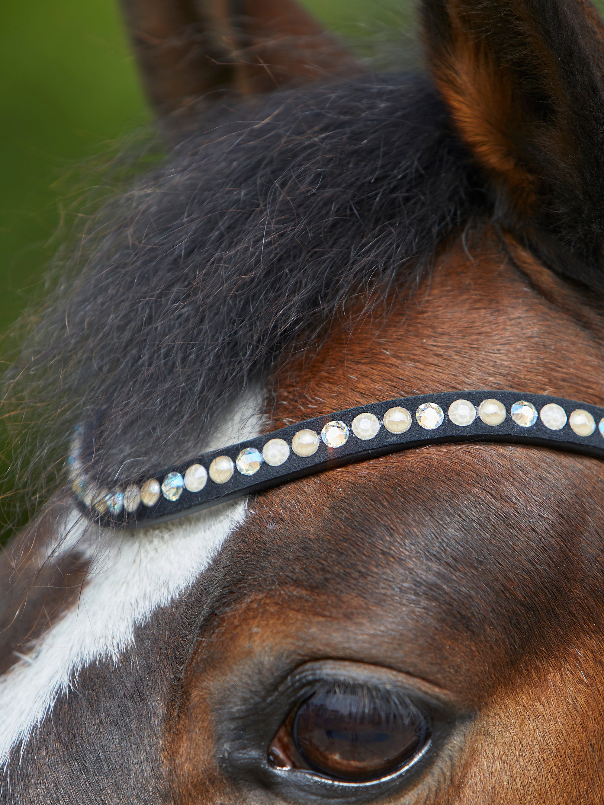 Detailfoto rundgenähte Trense Sylvie II in Schwarz mit Chrombeschlägen am Pferd: geschwungenes Stirnband mit hellen Swarovski® Kristallen