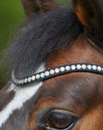 Detailfoto rundgenähte Trense Sylvie II in Schwarz mit Chrombeschlägen am Pferd: geschwungenes Stirnband mit hellen Swarovski® Kristallen