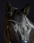 Detailfoto Trense Priya in Schwarz mit Chrombeschlägen am Pferd: geschwungenes Stirnband mit rosafarbenen Swarovski® Kristallen