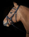 Trense Ilona in Schwarz mit Chrombeschlägen und Stirnband mit schwarzen und weißen Swarovski® Kristallen am Pferd