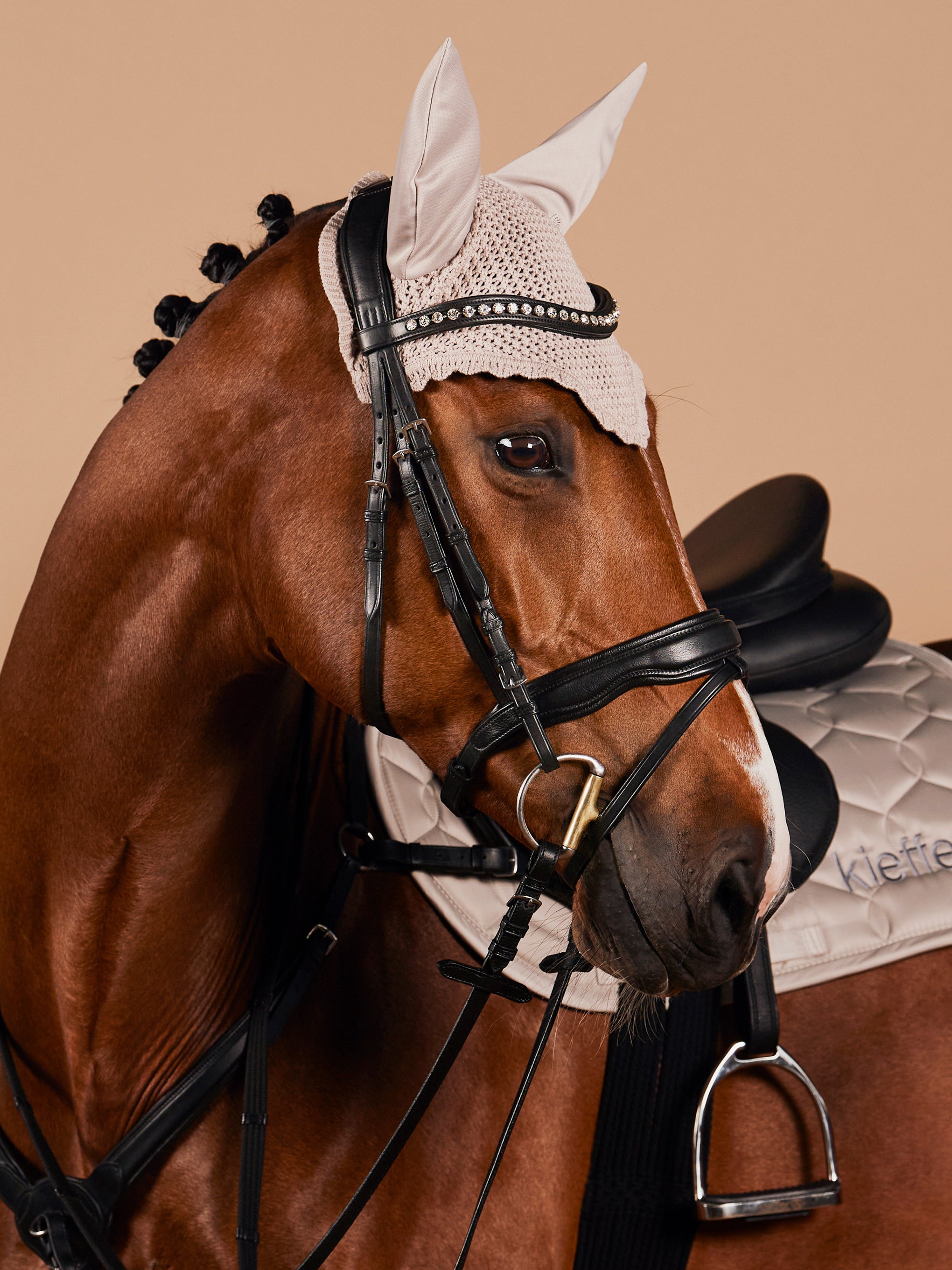 Trense Kieffer Ultrasoft® Gaya in Schwarz mit Chrombeschlägen am Pferd