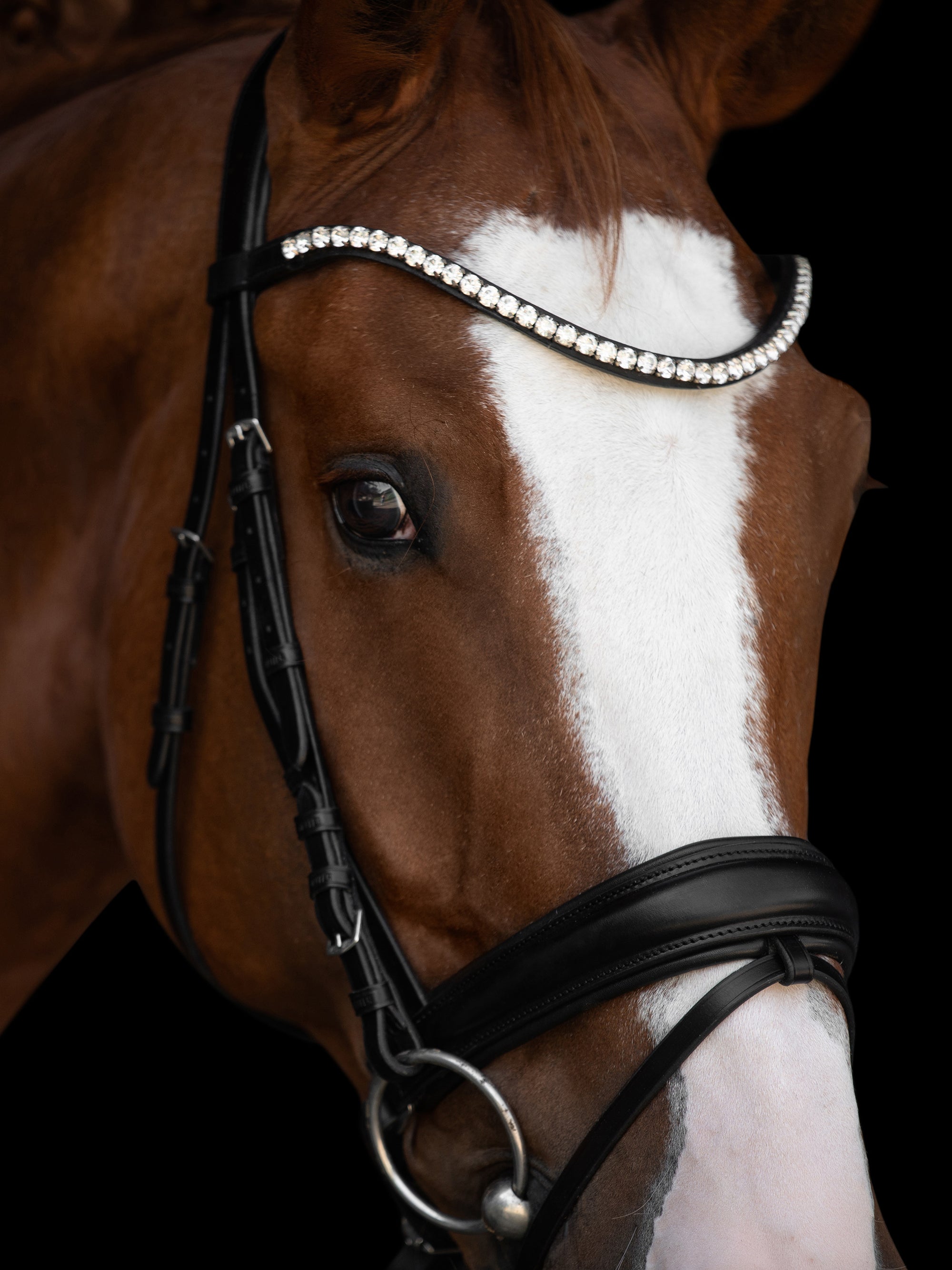 Detailfoto Trense Victoria II in Schwarz mit Chrombeschlägen am Pferd: geschwungenes Stirnband mit weißen Kristallen und konisch geformtes Reithalfter