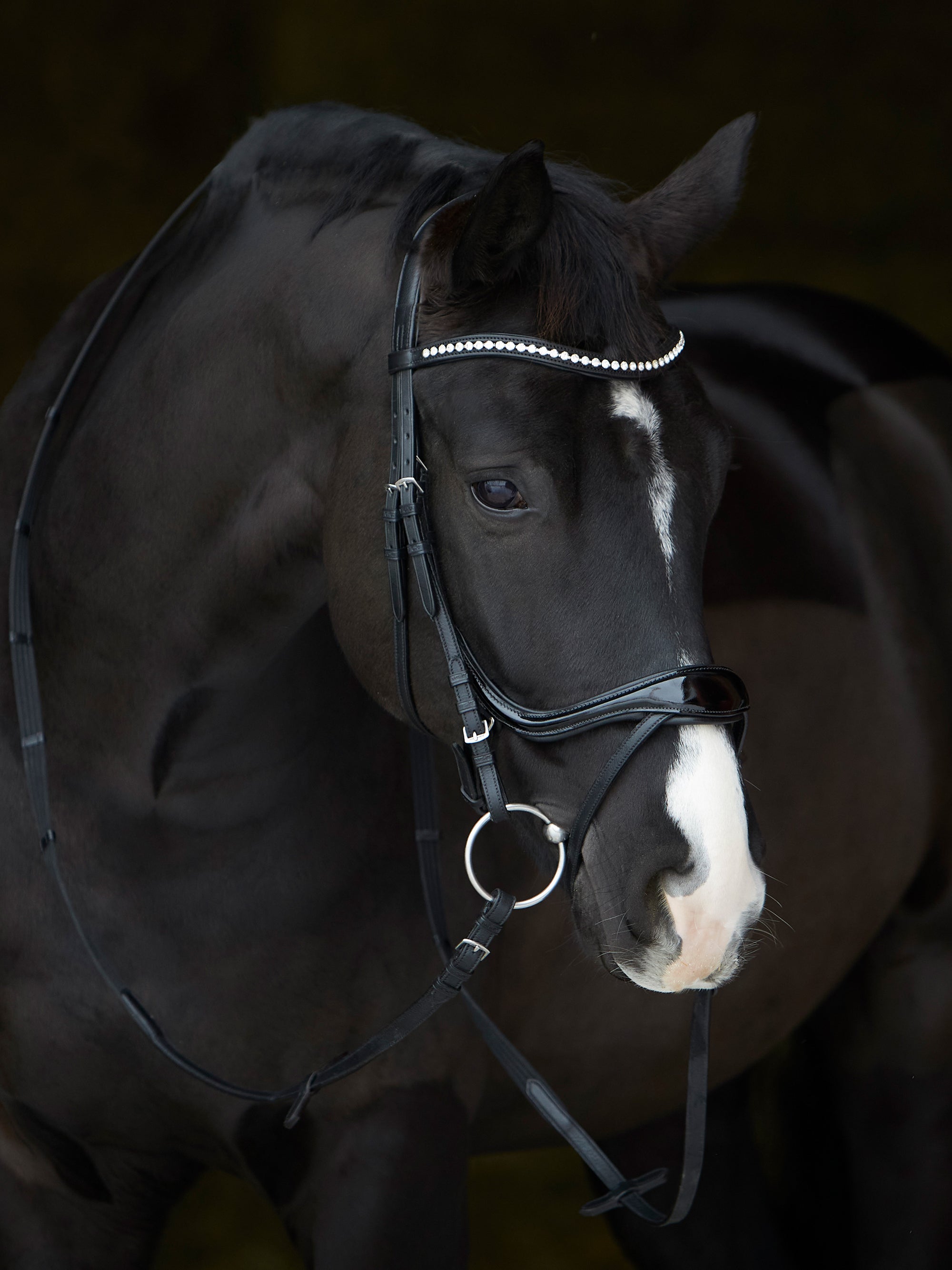 Trense Kieffer Ultrasoft® Amy Shine mit Lack in Schwarz mit Chrombeschlägen am Pferd