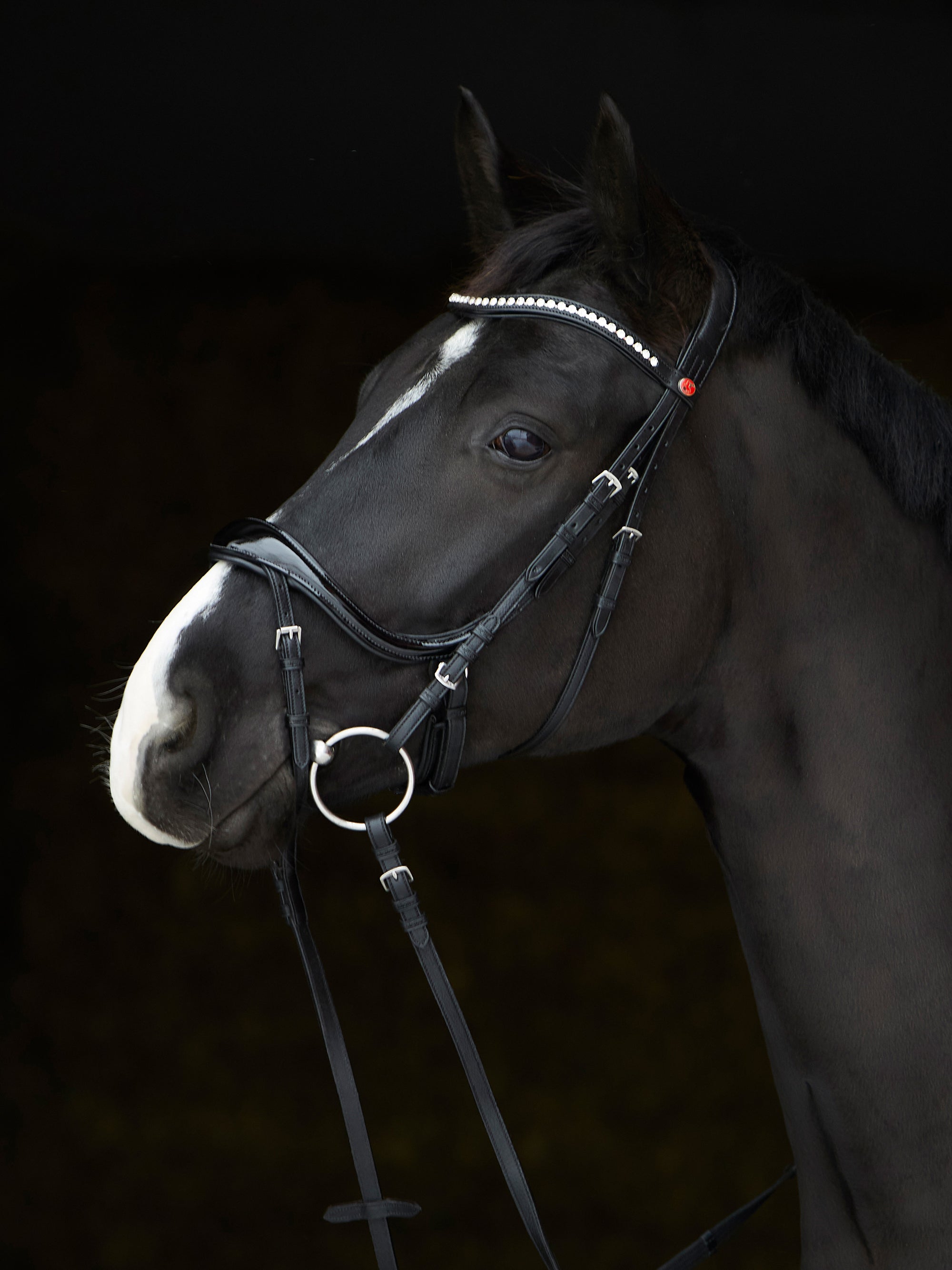 Trense Kieffer Ultrasoft® Amy Shine mit Lack in Schwarz mit Chrombeschlägen am Pferd