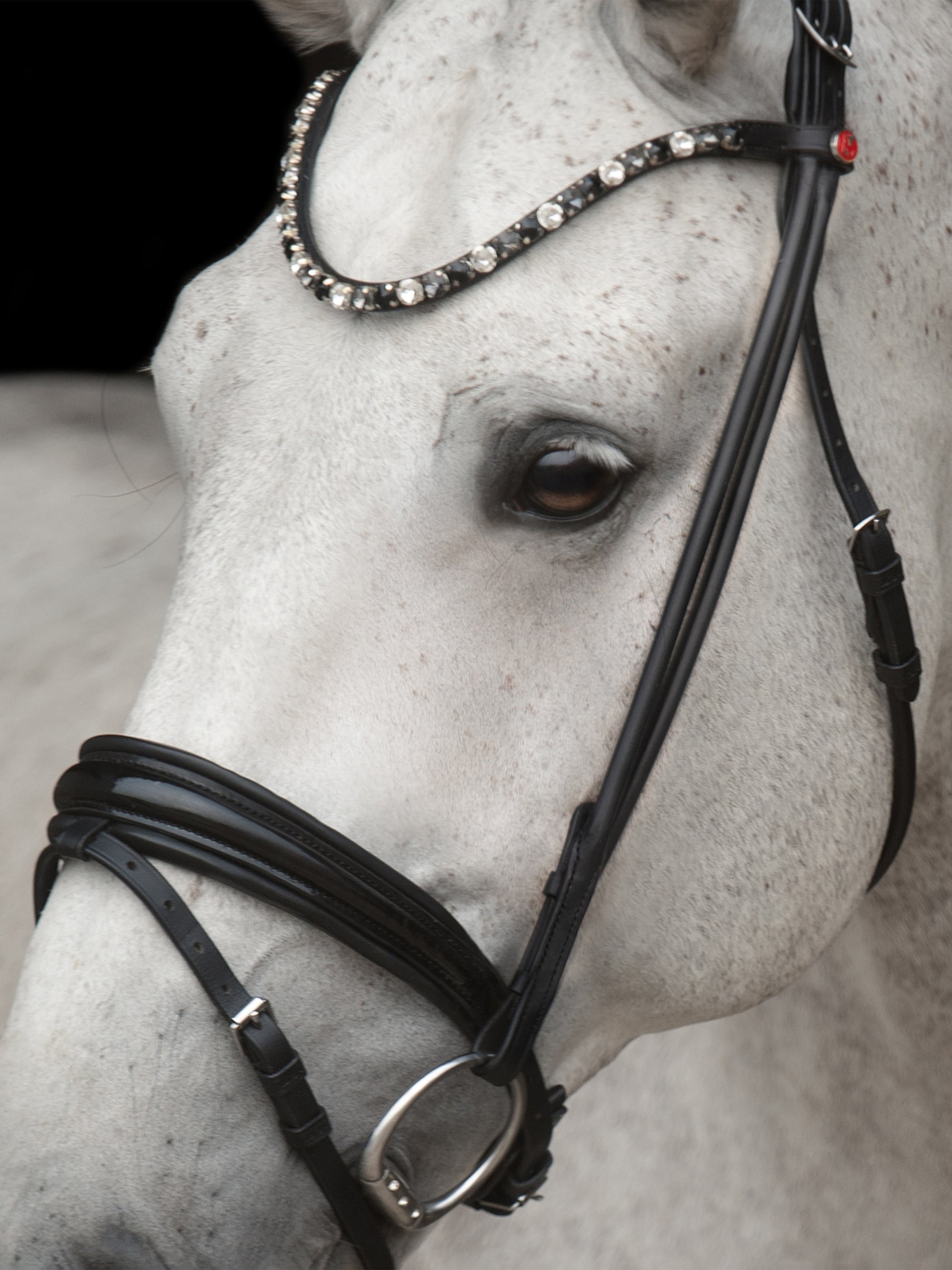 Detailfoto rundgenähte Trense Elli in Schwarz mit Chrombeschlägen am Pferd: konisch geformtes Lack-Reithalfter und Stirnband mit extragroßen Kristallen in Schwarz/Weiß/Grau