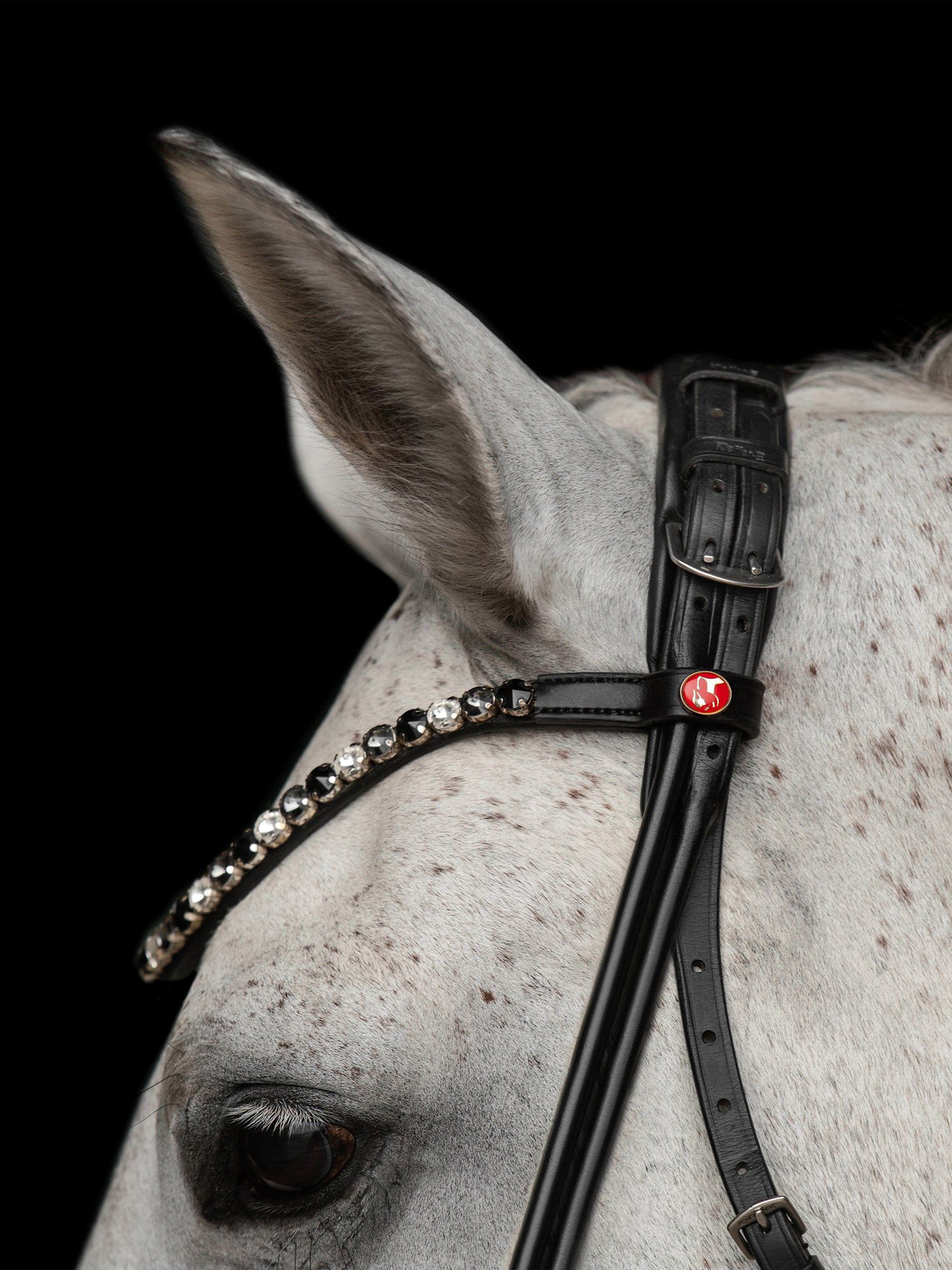 Detailfoto rundgenähte Trense Elli in Schwarz mit Chrombeschlägen am Pferd: Genickstück und Stirnband mit extragroßen Kristallen in Schwarz/Weiß/Grau