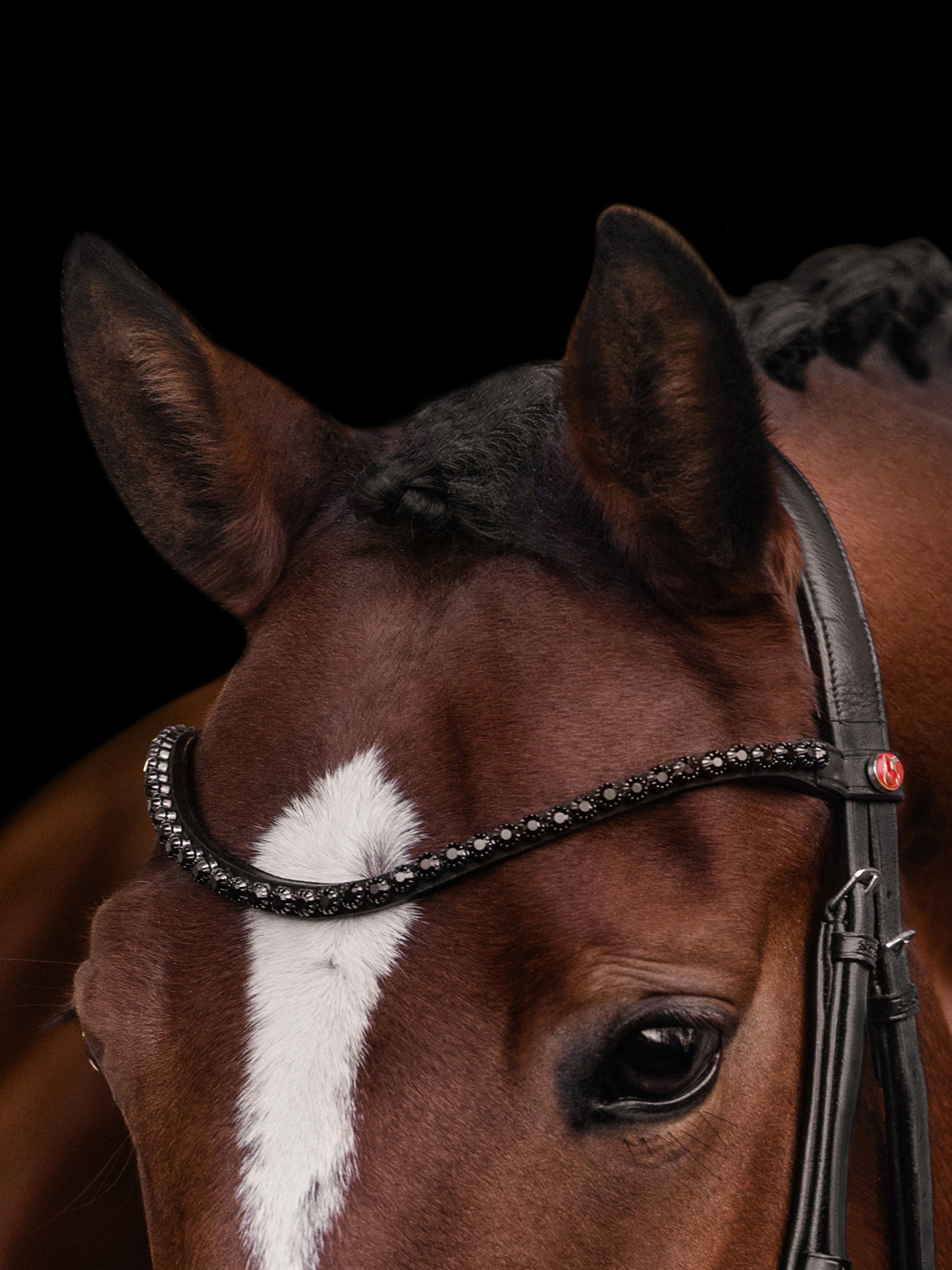 Detailfoto 2-in1 Zaum Kieffer Ultrasoft® Ava: anatomisches Genickstück und geschwungenes Kristallstirnband in Schwarz am Pferd