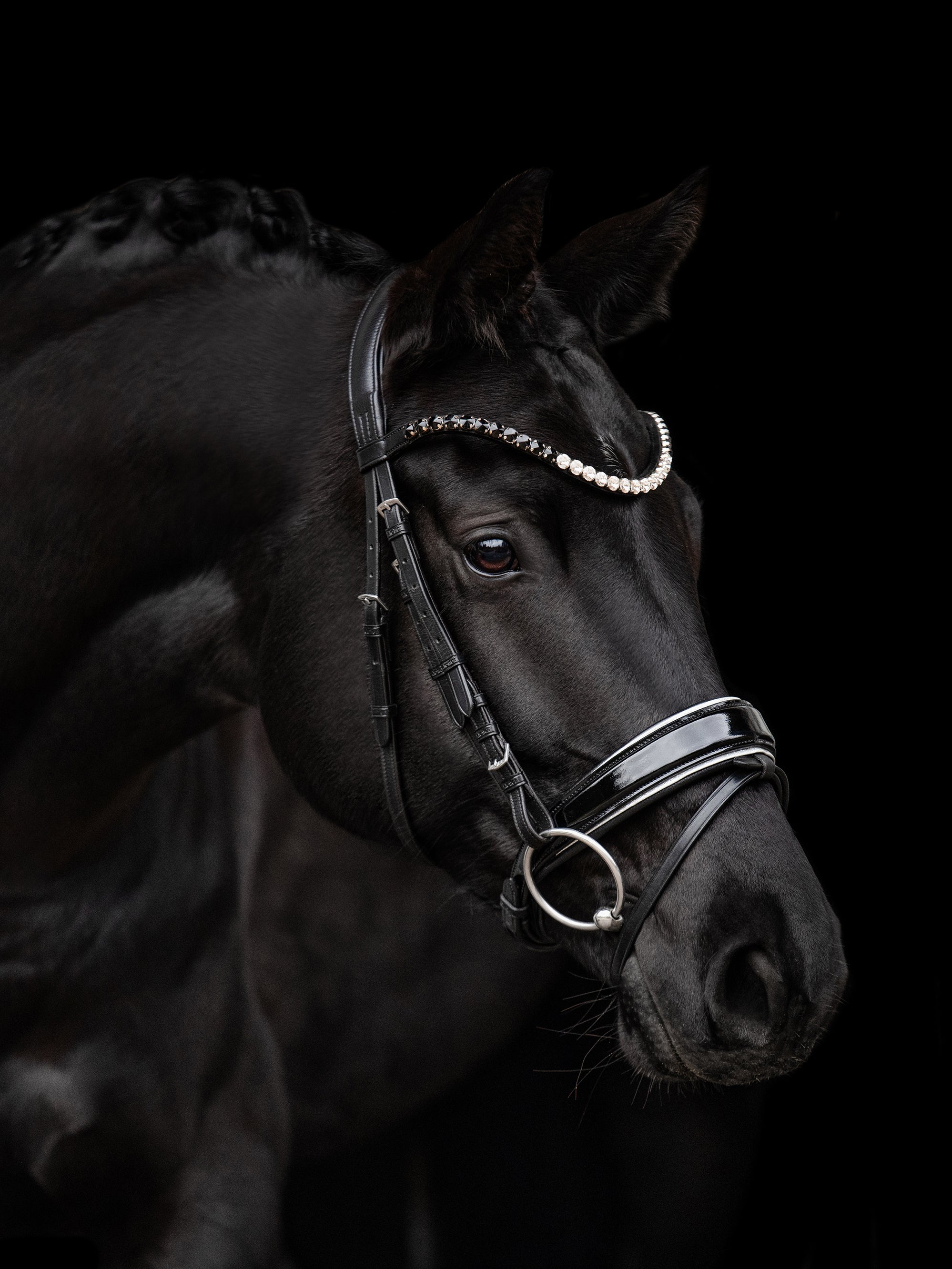 Trense Nora in Schwarz mit Chrombeschlägen am Pferd