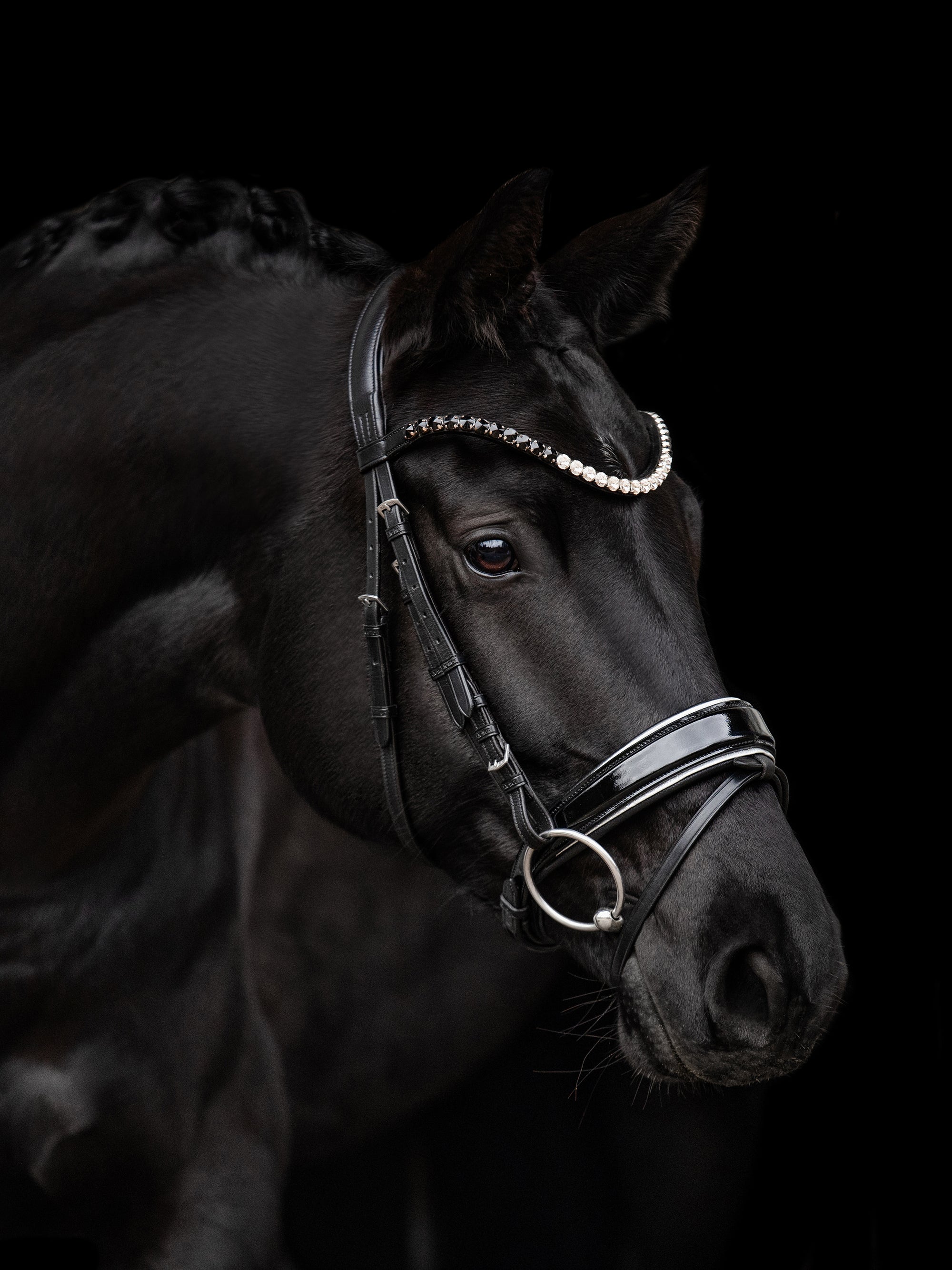 Trense Nora in Schwarz mit Chrombeschlägen am Pferd