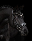 Trense Nora in Schwarz mit Chrombeschlägen am Pferd