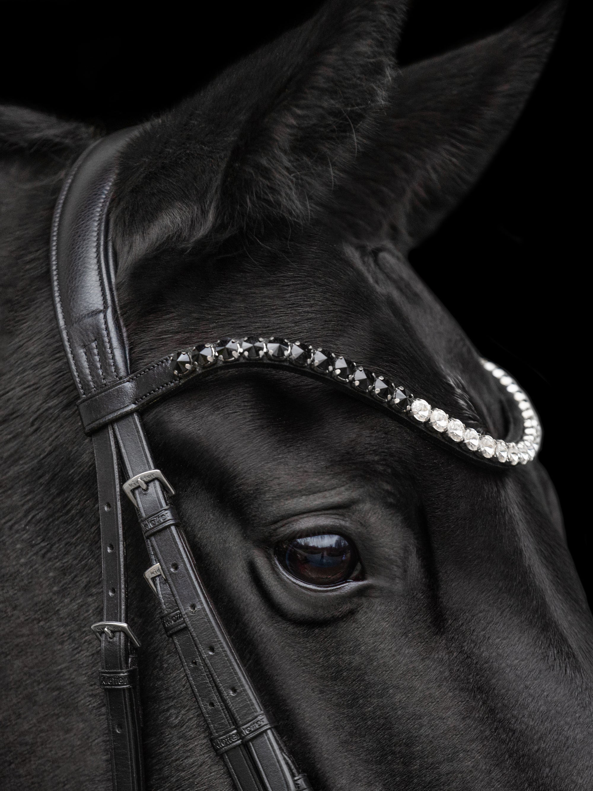 Detailfoto Trense Nora in Schwarz mit Chrombeschlägen am Pferd: geschwungenes Stirnband mit extragroßen schwarzen und weißen Kristallen