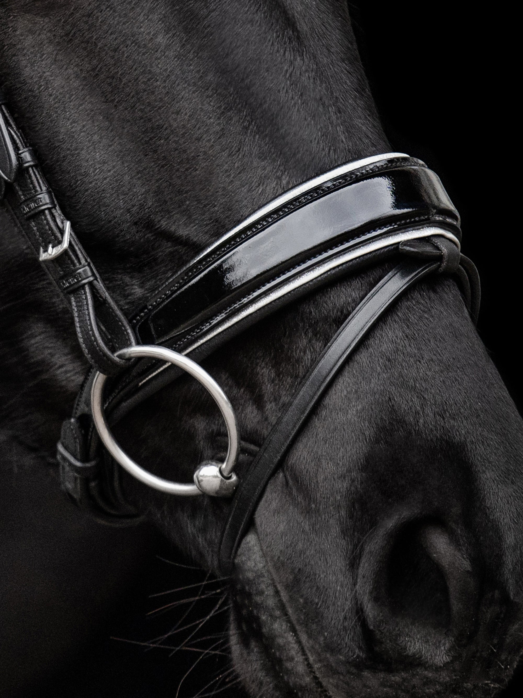 Detailfoto Trense Nora in Schwarz mit Chrombeschlägen am Pferd: Lack-Reithalfter mit Glitzerbiese