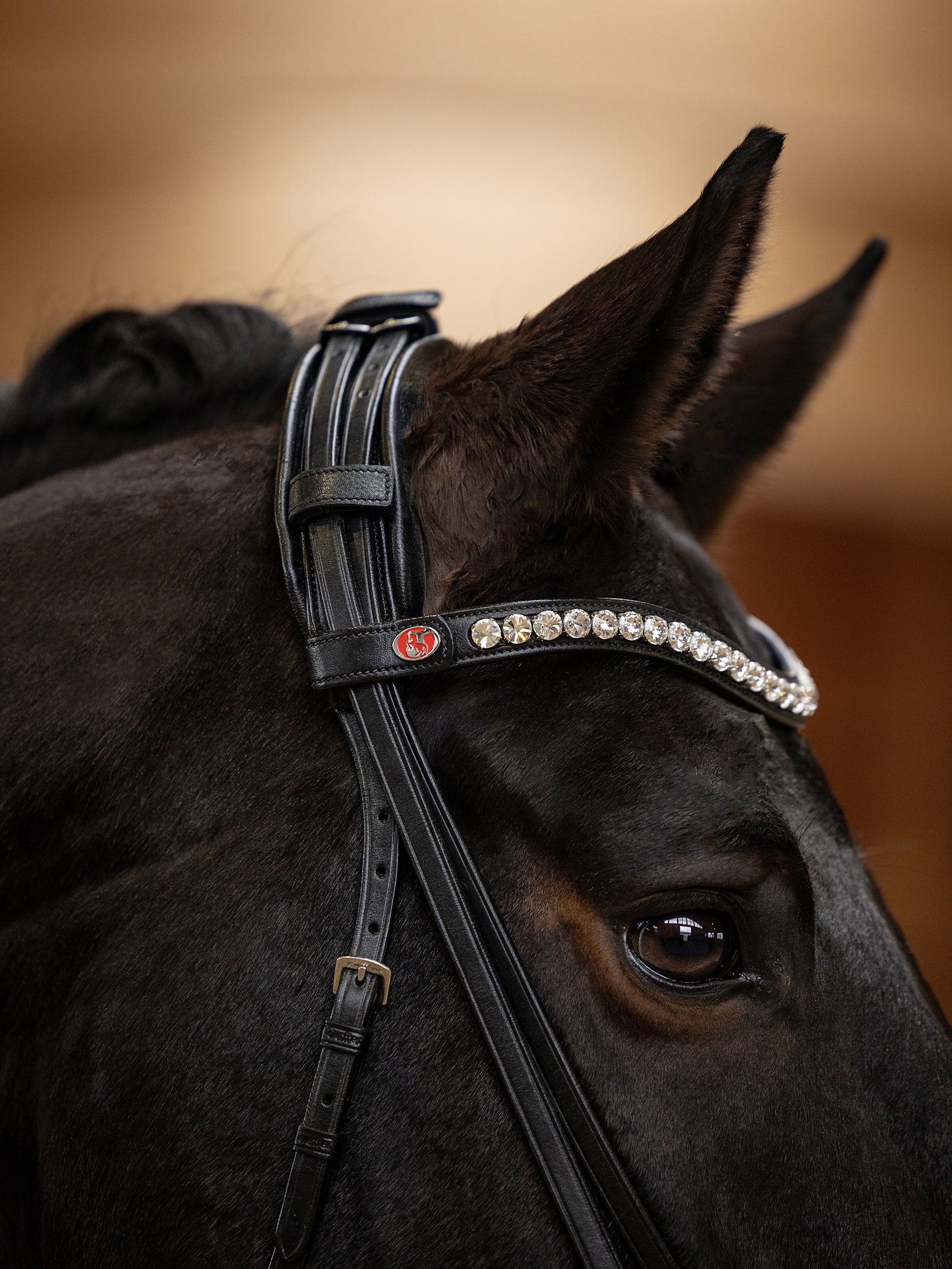 Detailfoto Trense Lina in Schwarz mit Chrombeschlägen am Pferd: extradick geschäumtes Genickstück und geschwungenes Stirnband mit weißen Kristallen