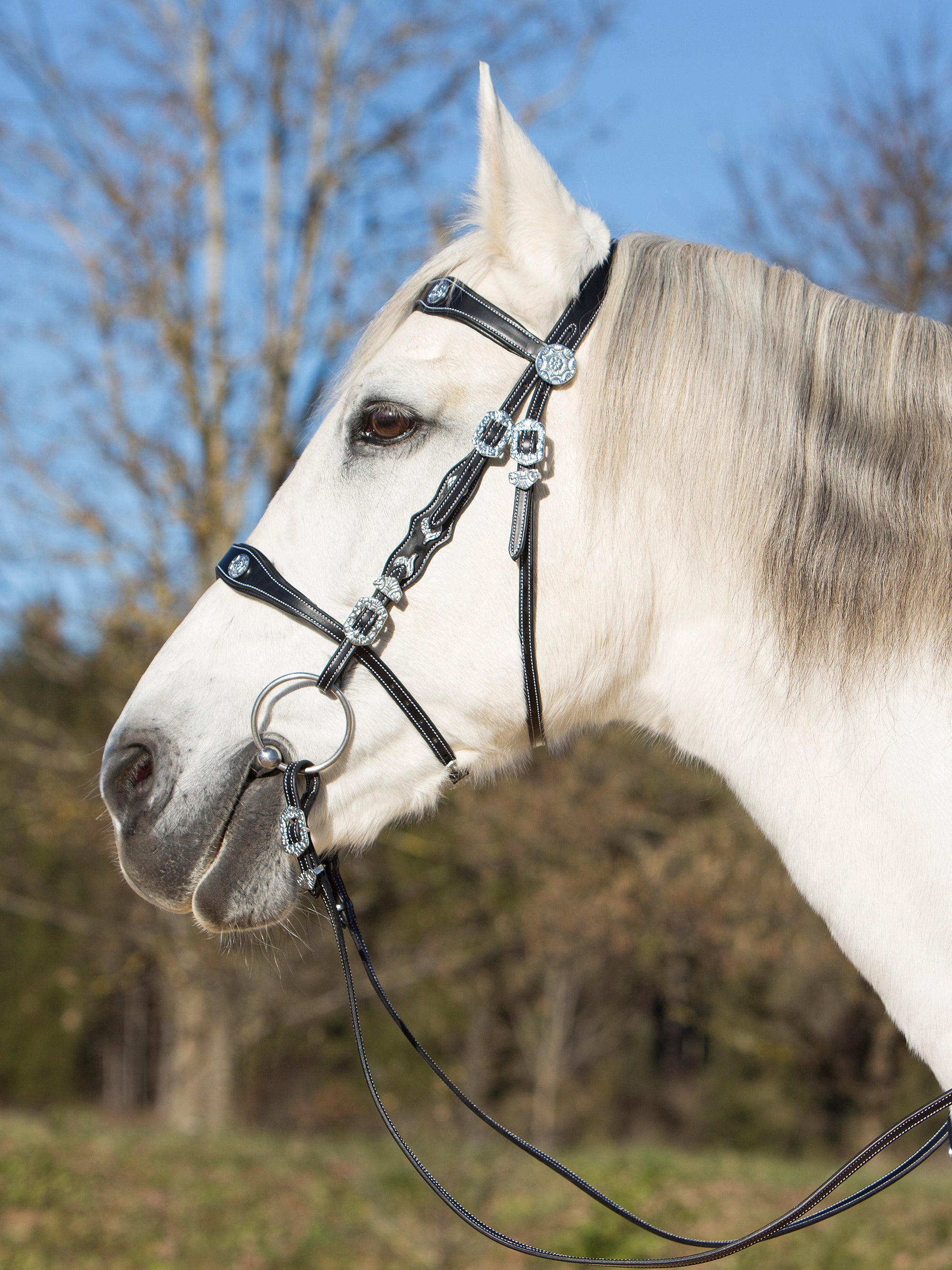 Spanische Trense Isabella mit silberfarbenen Beschlägen und Ornamenten am Pferd