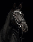 Trense Comfort Paris in Schwarz mit schwarzem Lack-Reithalfter und Chrombeschlägen am Pferd