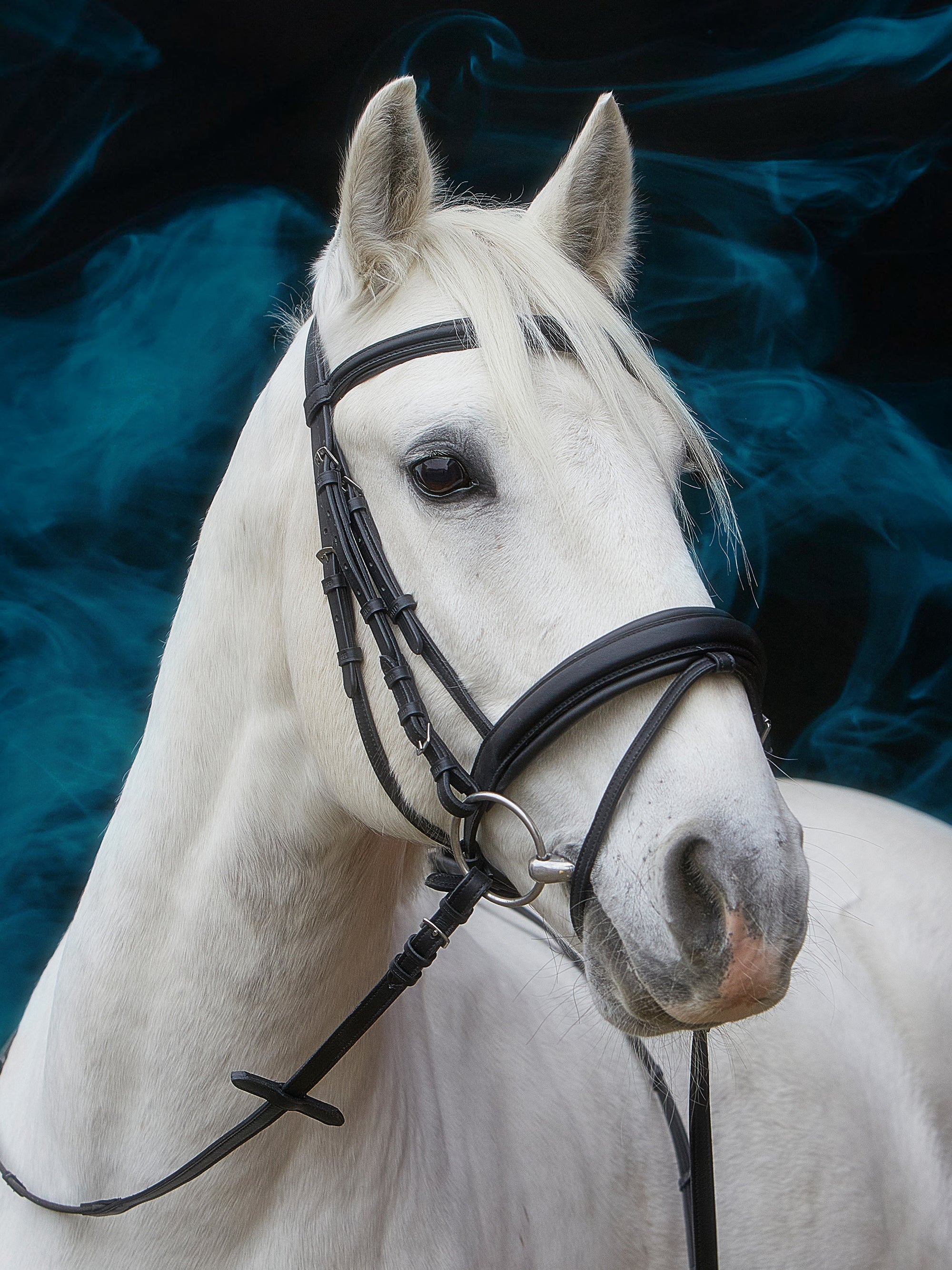 Trense Essentials Lara in Schwarz mit Chrombeschlägen und bombiertem Stirnband
