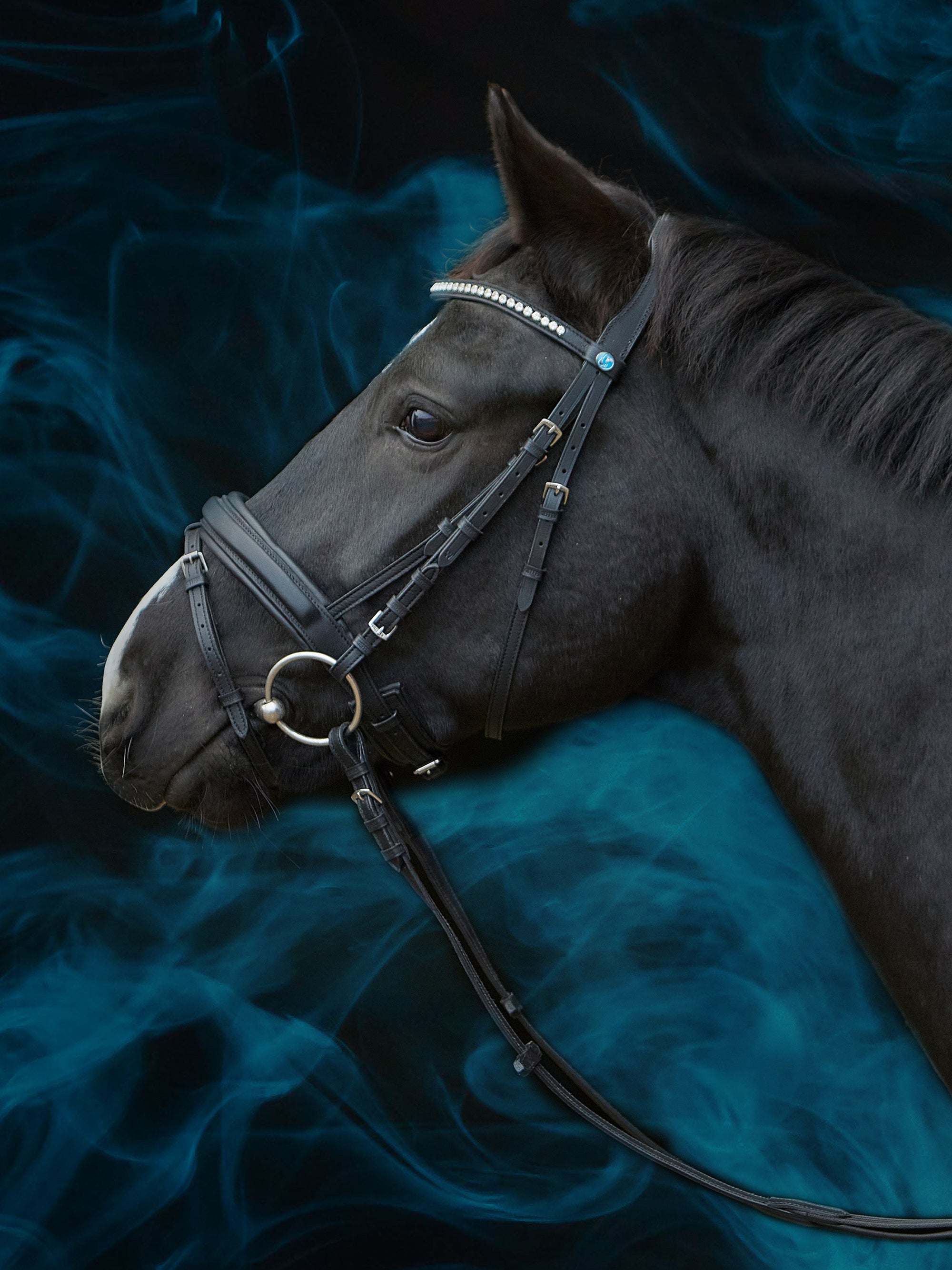 Trense Essentials Lara in Schwarz mit Chrombeschlägen und geschwungenem Kristall-Stirnband am Pferd